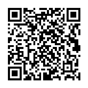 好像生怕自己出去了之后会被别的势力敲闷棍给弄死了呢二维码生成