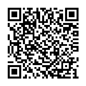 好几个愿意的死刑犯不是血型不配就是hla不相同二维码生成