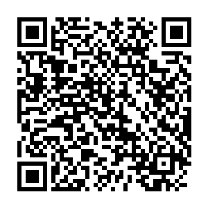 好在双极峰下恰好遇到一名固元境界的双极门弟子在外除妖御剑归来二维码生成