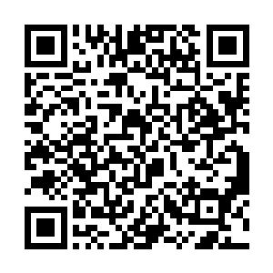 好在在灵谷的时候他已经将宗门的地图都记在了心中二维码生成