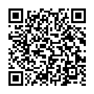 好在她们的议论还是比较偏向秦方的……老爷子很喜欢秦方二维码生成
