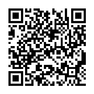 好在我的零时差演算也已经获得相当高的完成度了二维码生成