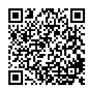 好在杀无痕等修士距离许家这些弟子还有着一段不短的距离二维码生成