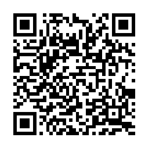 好在那几个家族的族长和散修盟盟主没有参与到争斗之中二维码生成