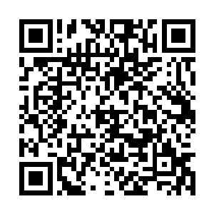 好多读者提到希望万兽无疆系列里其他主角来客串二维码生成