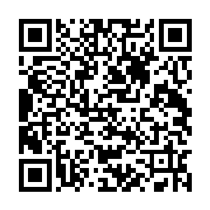 好恍然记起从县城回来的时候也似乎看到了小池塘二维码生成