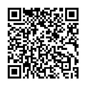 好高明的手段……从没听说过金州还有这样的年轻修士存在啊二维码生成