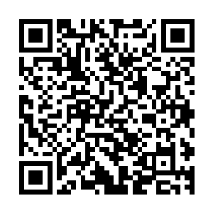 如今三十多岁的真珠与宝山两兄弟虽然在名气上比不过银术可二维码生成