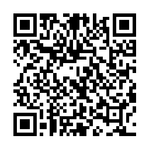 如今仓库里堆积的是这两年他没办法辨别和确认价值的东西二维码生成