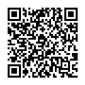如今他们已经在纳兰皇的心中种下了一颗怀疑的种子二维码生成