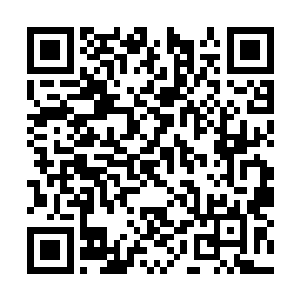 如今他感觉全身有无数只蚂蚁在吞噬他的血肉一般二维码生成