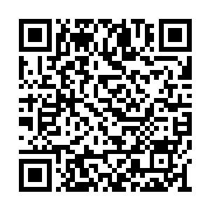 如今他的修为是不是yijing被我和火舞给甩下去了二维码生成