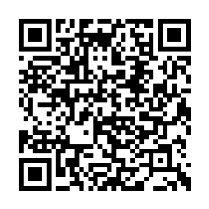 如今北地修仙界中的两个大宗门华阳宗和太玄宗二维码生成