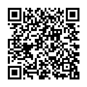 如今南方的呼延家族和李氏家族已经带领着弟子进入了望仙城二维码生成