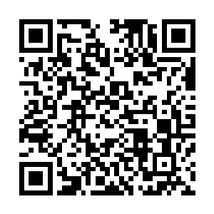 如今在短短不到三秒中这些年所做的努力就全部化为了虚无二维码生成