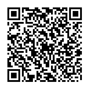 如今她却理解地球上为什么会对两种满身带刺的植物换做仙人掌和仙人球了二维码生成