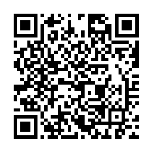 如今小强正在利用两万台万能机床生产第一批生产资料二维码生成