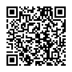 如今已经被当做论文造假标准事例的日本美女科学家小保方晴子二维码生成