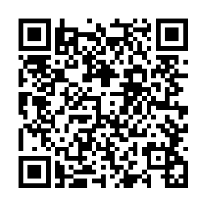 如今我们最重要的事情就是将我们的修为提升上去二维码生成