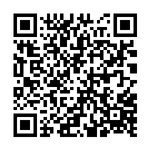 如今我国论移赉勃极烈完颜大将军正在与北辽作战二维码生成