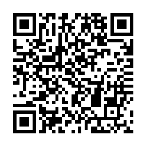 如今的二姨娘看起来和当初的四姨娘到是有几分的相似二维码生成