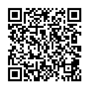 如今的云擎再不是跟第一次见到的那般冰冷冷的二维码生成