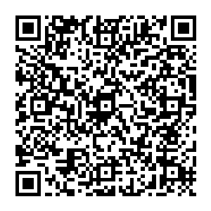 如今的天蛇山恐怕不比那些一流顶峰的门派驻地差眼下当务之急还是现将宗派驻地弄起来再说二维码生成