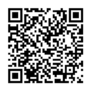 如今细想来这不是平日里红苕对自己撒娇的动作么二维码生成