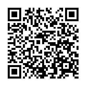 如今距离修仙界各个宗门开山收徒只剩下了两个月二维码生成