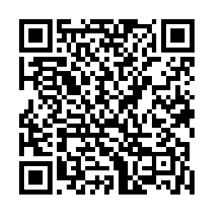 如何不料到萧言怎么会轻易放弃已然到手的中枢掌控之权二维码生成