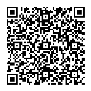 如何能保证不过度采摘古神州六寰宇之生机引来又一次量劫没有足够强大足以令人高山仰止的力量二维码生成