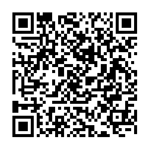 如何能够聚得十八万紫灵币这么庞大的财富……这大抵还不是箫公子的全部身家二维码生成
