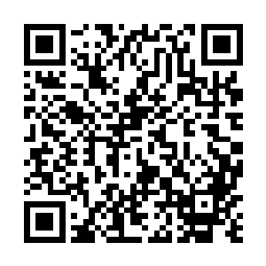 如同一面盾牌一样死死地杵在金箍棒轨迹的必经之路上二维码生成