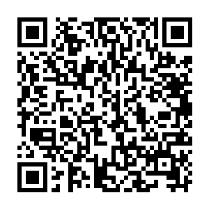 如同拍死苍蝇一般将那魔导大炮连同上面驻守着的人类战士一起拍成肉酱二维码生成