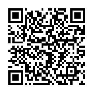 如同这个世界上最坚固的囚笼一般将楚旬死死的困在了原地二维码生成