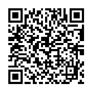 如果……是一个具有强悍实力的隐世家族作为许家的接引者二维码生成