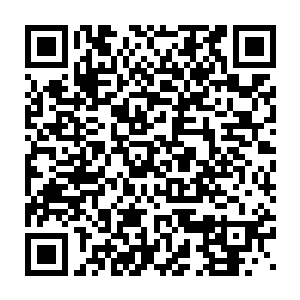如果…我是说如果有人将具有感染性的病毒和蓝樱花的毒素进行融合二维码生成