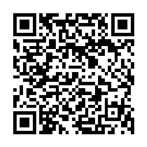 如果一个体制和精神力均为3s级的人死在一次野外训练中二维码生成