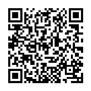 如果三井朴仁带了什么行为举止怪异的人出现在大厦二维码生成