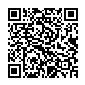 如果不是下面枫叶堡据点那冲天而且的黑烟和一片狼藉的景象二维码生成