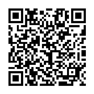 如果不是他们之前在圣灵图腾和圣灵池中吸取了庞大的力量二维码生成