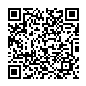 如果不是你用你们林家的咒语把长杉那几个阴阳师都给废了二维码生成