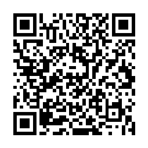 如果不是圣域小圆满境界和圣域巅峰的差距实在是巨大二维码生成