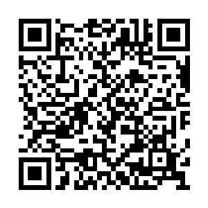 如果不是地上的血迹显示着刚刚这里发生了屠杀二维码生成