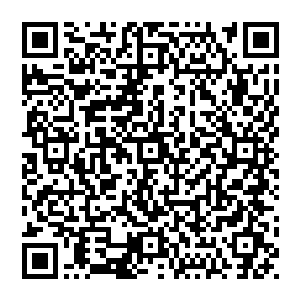 如果不是我……如果不是我……她早已经安详入眠了……这一切都是我……是我有了不应该有的幻想……二维码生成