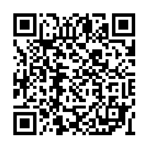 如果不是我手上握有家主扳指可以号令君家死士二维码生成
