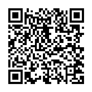 如果不是担心指南那缺德的把这人的诅咒转移到他身上做惩罚二维码生成