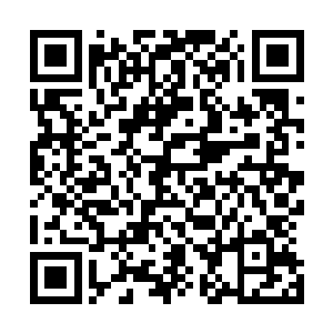 如果不是看在你们同是族人的份上我早就灭掉了你们的元神二维码生成