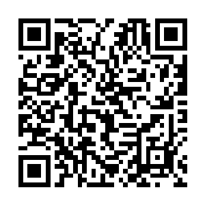 如果不是那个家伙在极短的时间内接连判断失误了几次二维码生成