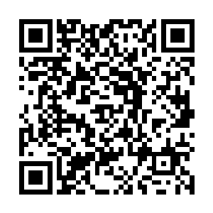 如果不是陈凌深刻的知道这里曾经是他们经常来的地方二维码生成